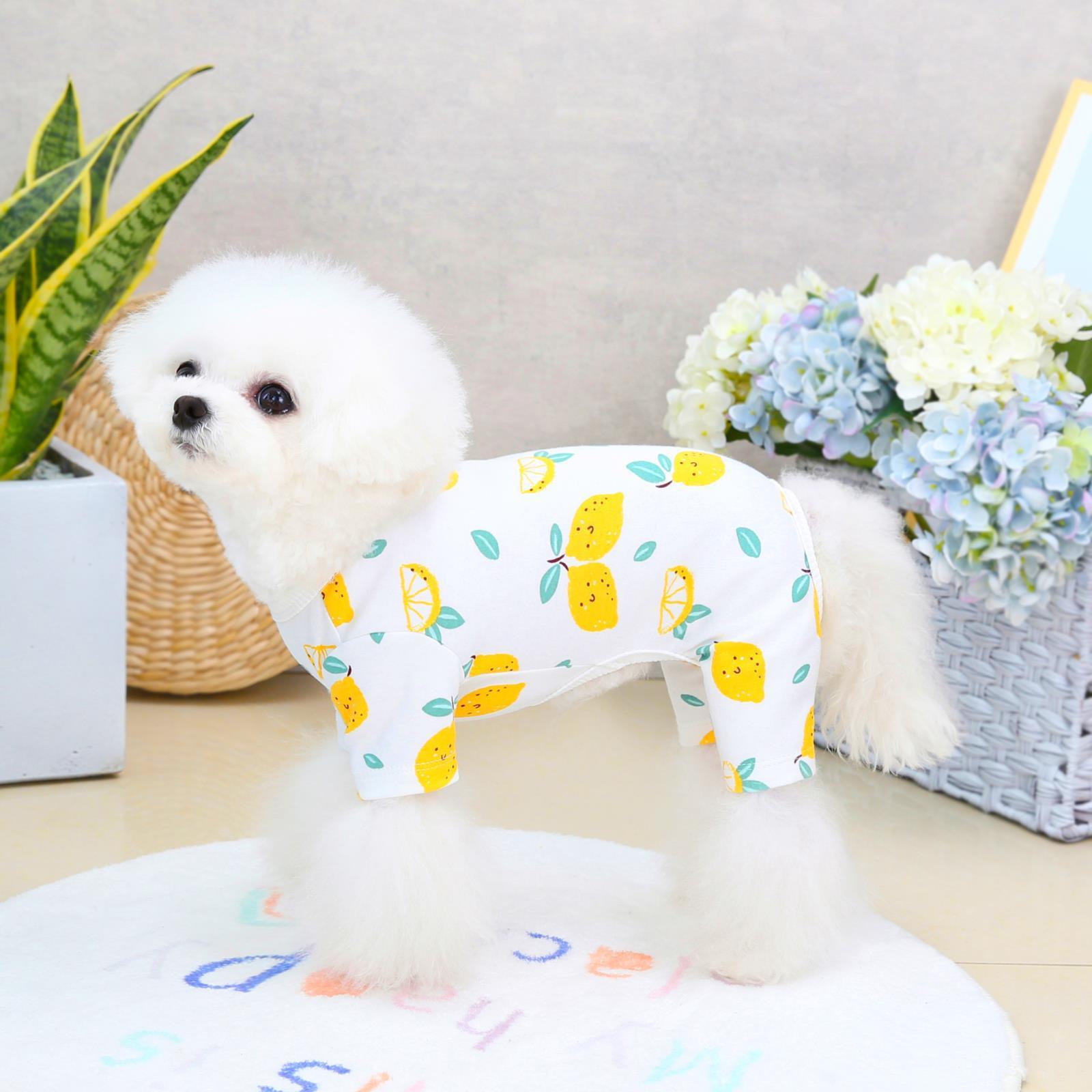 HKM-013907 Casual Cotton Four-Legged Pet Clothing in Lemon, Lion, Smiling Face, and Ice Cream Designs