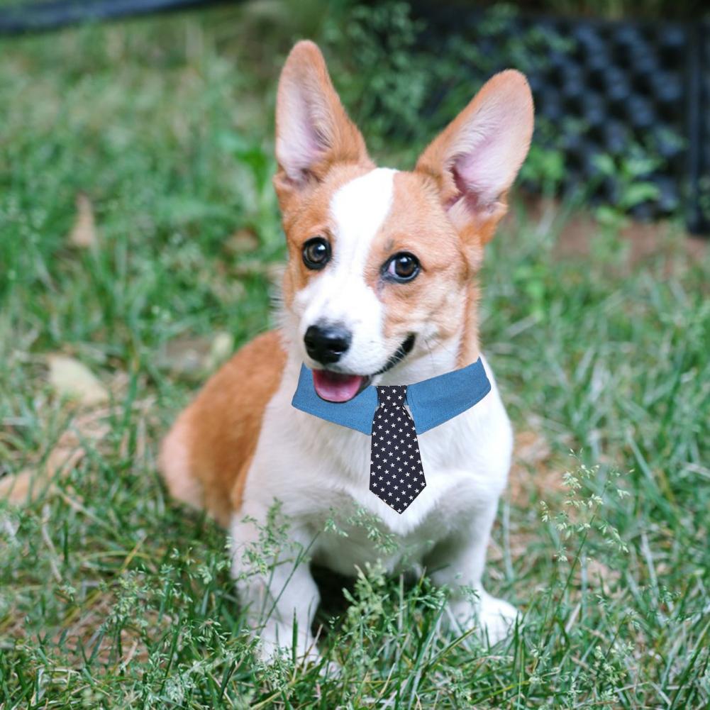 HKM-014291 Adjustable Denim Dog Collar with Star Pattern and Necktie for Formal Events
