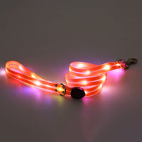 HKM-015443 Rechargeable LED Luminous Pet Collar with Nylon Tow Rope - Adjustable, Colorful Light Modes, Durable Design