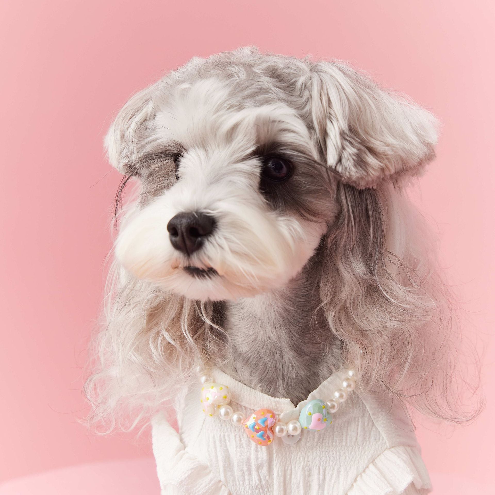 HKM-017427 Elegant Beaded Dog Necklace in Concave Shape - Available in S, M, L Sizes