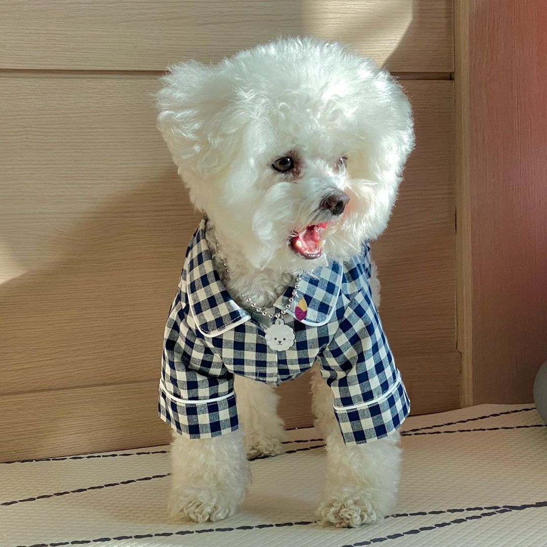 HKM-017427 Plaid Cotton Dog Pajamas in Khaki and Navy Blue with Pockets