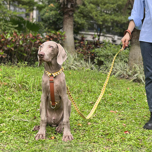 HKM-018259 I-shaped Pet Chest Harness with Matching Leash and Collars in Various Colors
