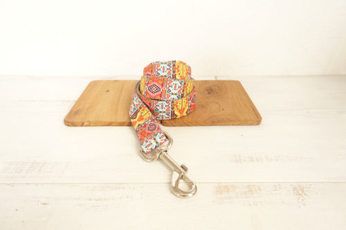 HKM-018579 Funkadelic Matching Collar and Leash Set in Durable Polyester for Stylish Pet Outings