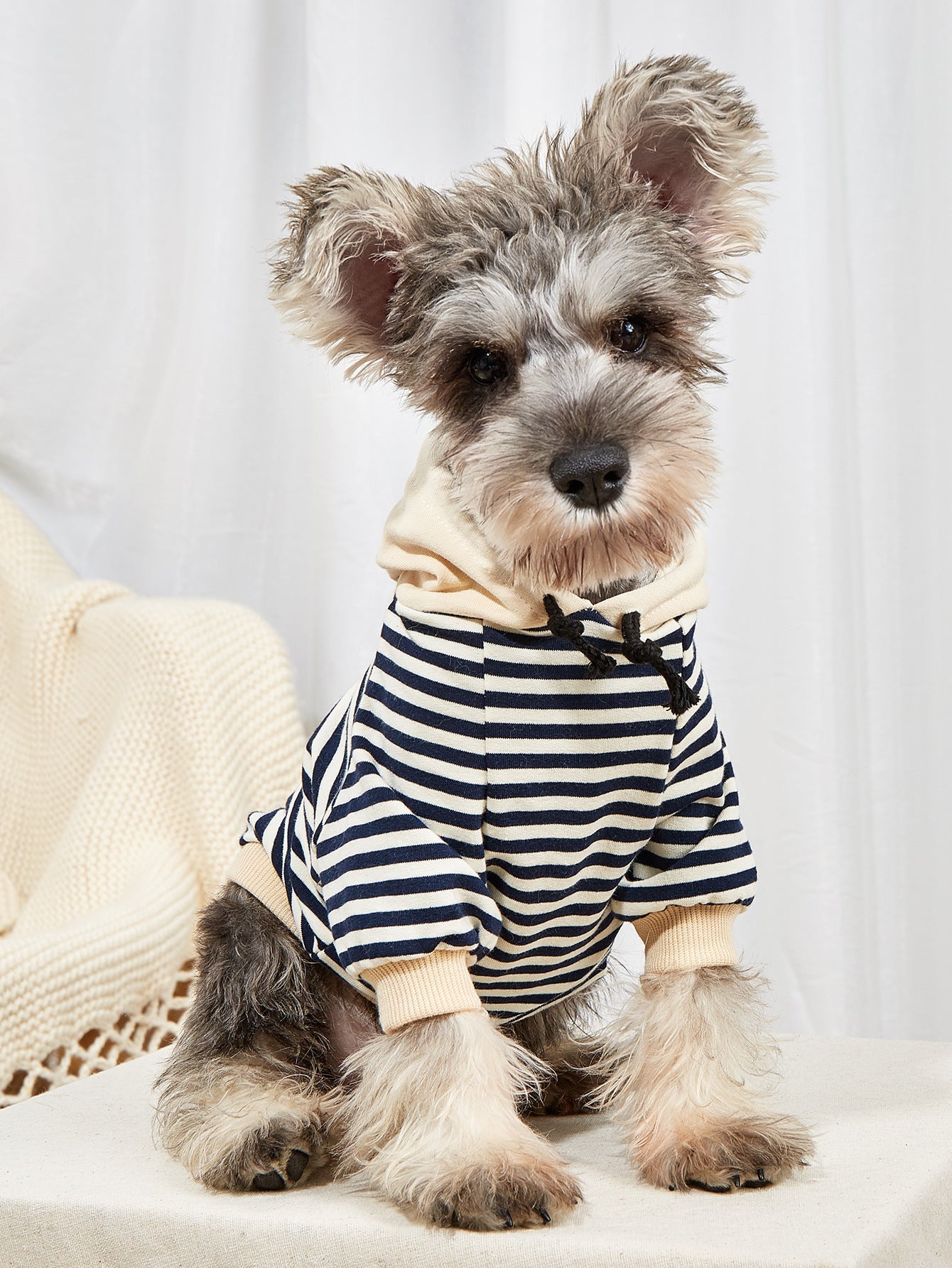 HKM-018643 Pet Striped Hooded Sweater for Dogs - Cozy Polyester Two-Legged Apparel