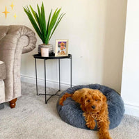 HKM-019859 Thickened Pet Bed for Cats and Small Dogs up to 5kg, 50cm, Soft PP Cotton Material