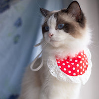 HKM-021459 Colorful Cat Lace Suit Scarf Bib with Floral and Plaid Designs for All Seasons