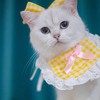 HKM-021459 Colorful Cat Lace Suit Scarf Bib with Floral and Plaid Designs for All Seasons