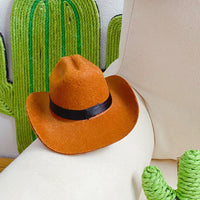 HKM-022035 Cowboy Hat and Triangular Scarf Set for Pets - Adjustable Sizes S, M, L, Brown, Navy Blue, and Red Options