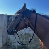 HKM-022547 Durable Horse Halter with Rope - Available in Black, Blue, and Red for Ponies and Large Horses