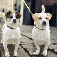 HKM-023315 Reflective Double-Headed Nylon Dog Leash - Scalable, Durable Design for Small to Medium Dogs