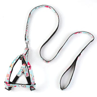 HKM-024659 Personalized Cowboy Dog Leash - Adjustable Nylon Leash for Small Dogs and Puppies