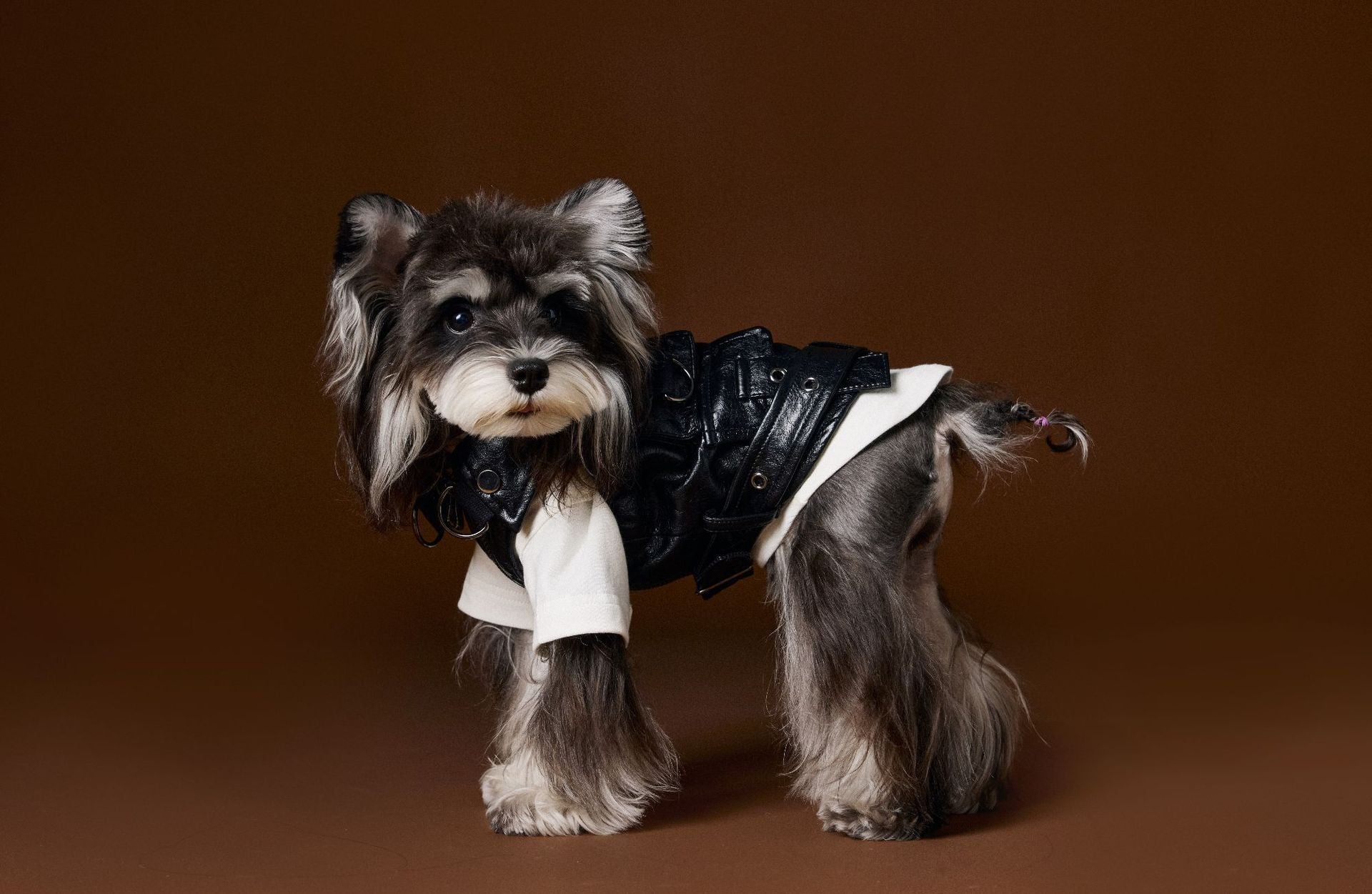 HKM-024979 Sleeveless Leather Cargo Pocket Vest for Pets, Stylish & Comfortable, Available in Multiple Sizes
