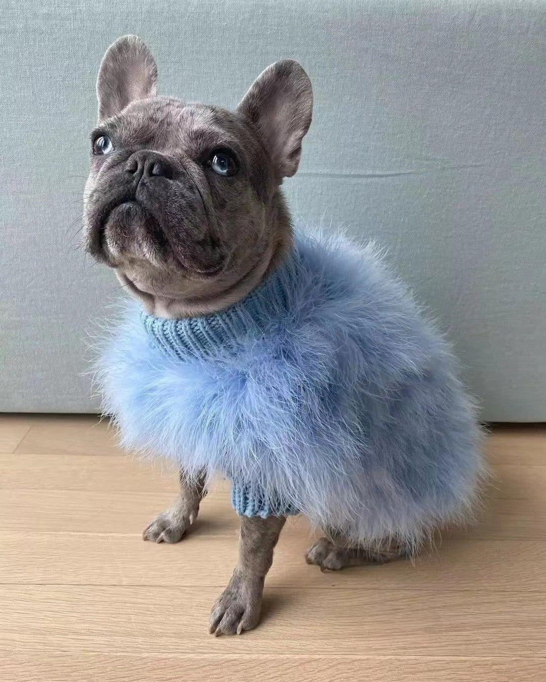 HKM-025235 Cozy Wool Blend Sweater for Dogs and Cats in Pink and Blue, Available in Sizes S to XL