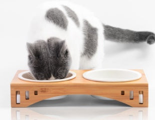 HKM-026323 Bamboo Wood Arch Design Pet Bowl - Elevated Dining Solution for Cats and Dogs