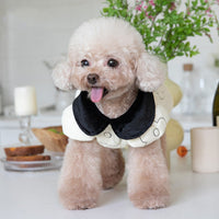 HKM-026387 Fleece-Lined Cotton Dog Jacket for Autumn & Winter in Apricot, Sizes 2XS to 3XL