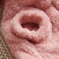 HKM-026771 Cartoon Pet Clothes in Coral Velvet for Autumn and Winter - Plush and Comfortable