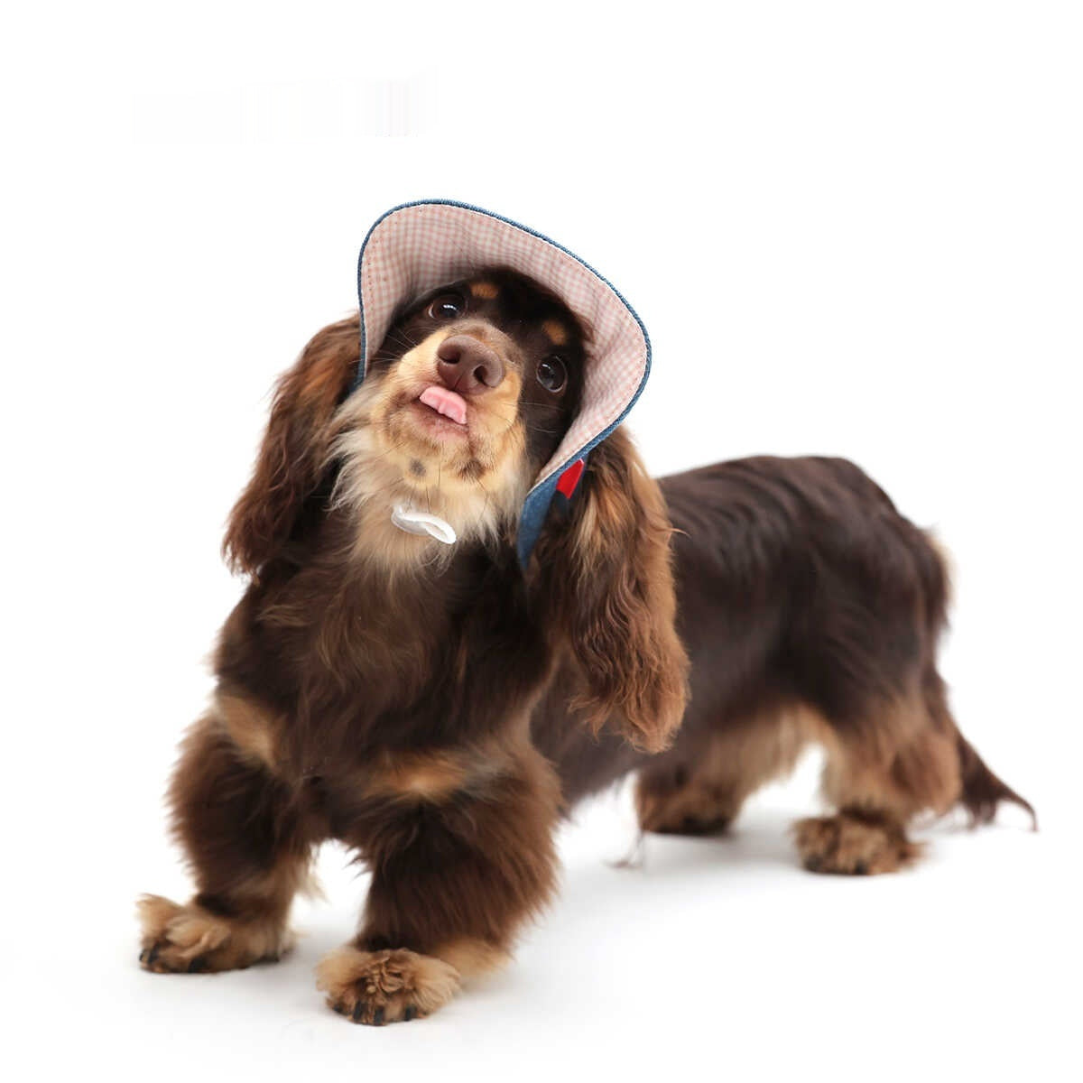 HKM-029523 Pet Cowboy Hat for Dogs - Sunscreen Sun Protection, Denim Style, Multiple Sizes Available