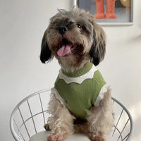 HKM-035347 Cozy Autumn and Winter Dog Sweater Collection with Flower Blossom Design for Pets