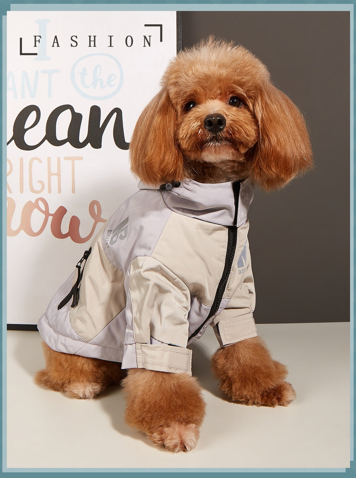 HKM-035475 Waterproof Warm Dog Jacket for Autumn and Winter - Casual Pet Raincoat in Three Color Options