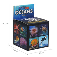 HKM-035603 Transforming Star Cube Puzzle - 2 in 1 Marine Animal Fidget Toy for Ages 2 and Up