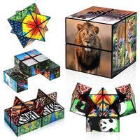 HKM-035603 Transforming Star Cube Puzzle - 2 in 1 Marine Animal Fidget Toy for Ages 2 and Up