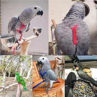 HKM-036115 Adjustable Bird Harness with Traction Rope for Comfortable Outdoor Walking