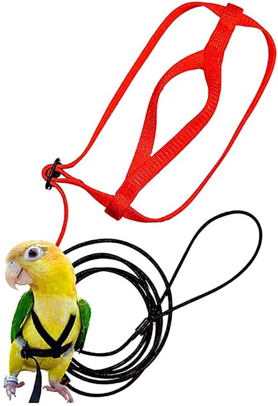 HKM-036115 Adjustable Bird Harness with Traction Rope for Comfortable Outdoor Walking