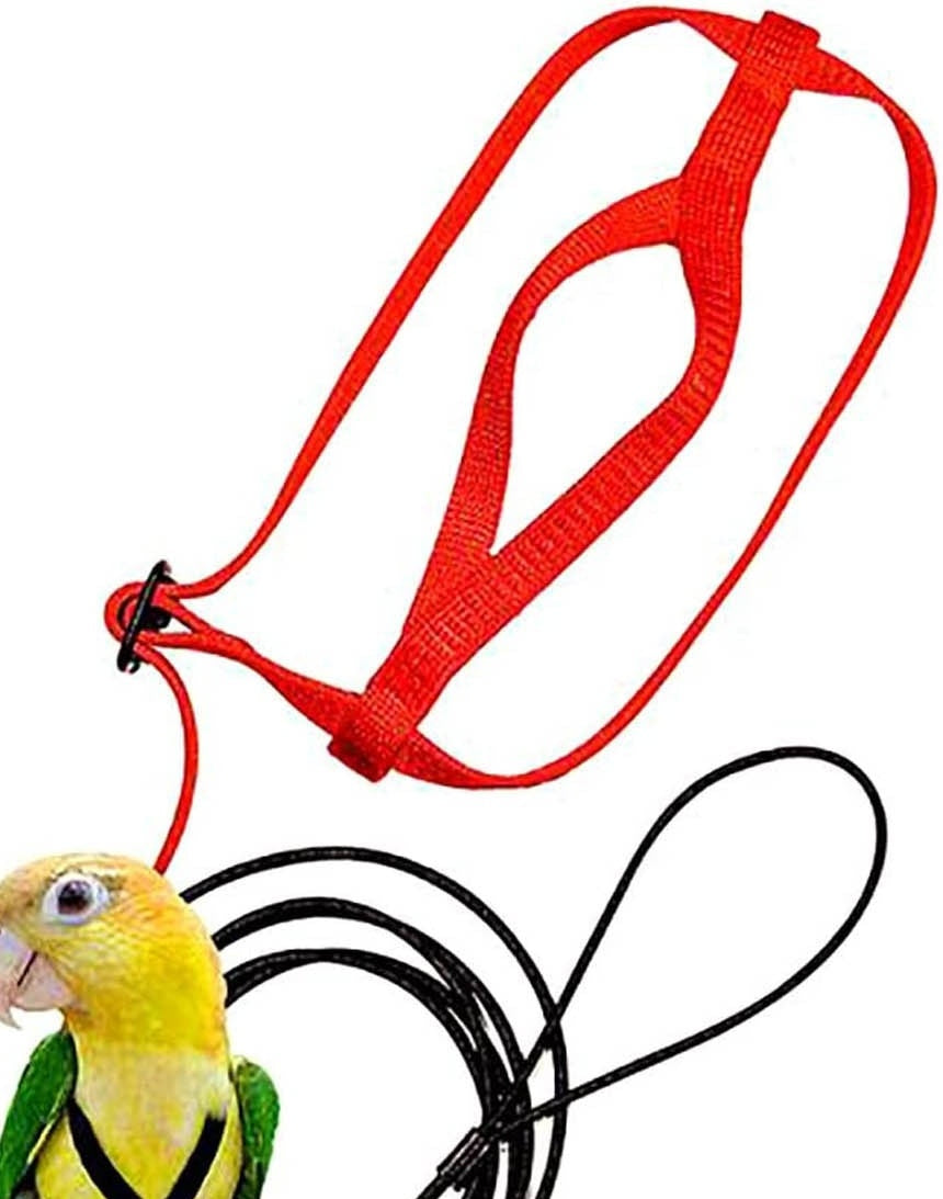 HKM-036115 Adjustable Bird Harness with Traction Rope for Comfortable Outdoor Walking