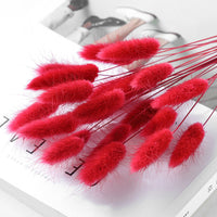 HKM-036947 Dried Flower Bouquet with Rabbit Tail Grass - Variety of Colors, 40-50CM Height, 20 Branches Each