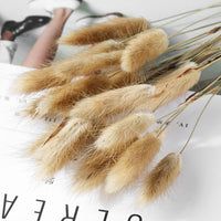 HKM-036947 Dried Flower Bouquet with Rabbit Tail Grass - Variety of Colors, 40-50CM Height, 20 Branches Each