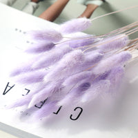 HKM-036947 Dried Flower Bouquet with Rabbit Tail Grass - Variety of Colors, 40-50CM Height, 20 Branches Each