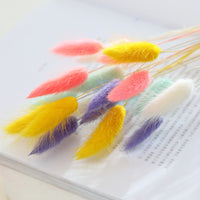 HKM-036947 Dried Flower Bouquet with Rabbit Tail Grass - Variety of Colors, 40-50CM Height, 20 Branches Each