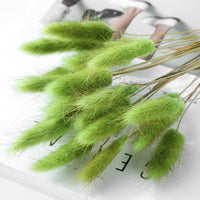 HKM-036947 Dried Flower Bouquet with Rabbit Tail Grass - Variety of Colors, 40-50CM Height, 20 Branches Each