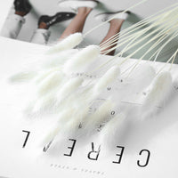 HKM-036947 Dried Flower Bouquet with Rabbit Tail Grass - Variety of Colors, 40-50CM Height, 20 Branches Each