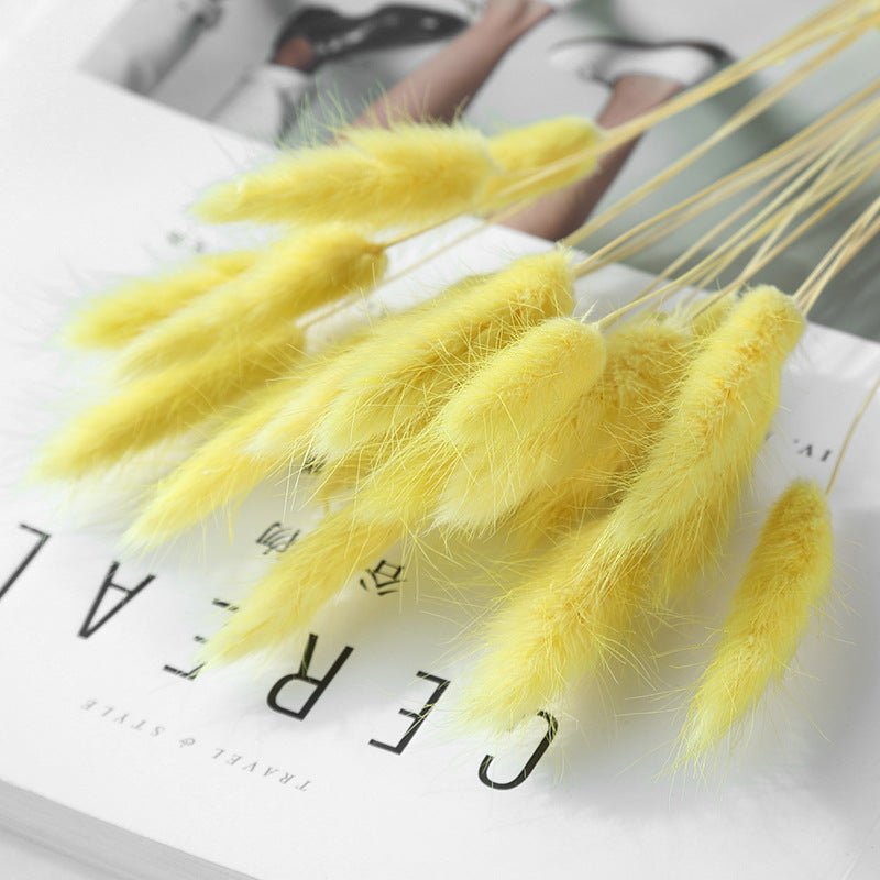 HKM-036947 Dried Flower Bouquet with Rabbit Tail Grass - Variety of Colors, 40-50CM Height, 20 Branches Each
