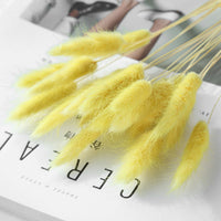 HKM-036947 Dried Flower Bouquet with Rabbit Tail Grass - Variety of Colors, 40-50CM Height, 20 Branches Each