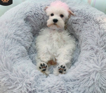 HKM-037715 pet room