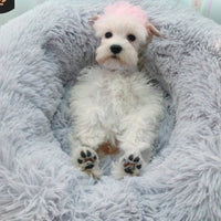 HKM-037715 pet room