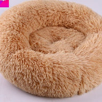 HKM-037715 pet room