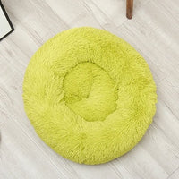 HKM-037715 pet room