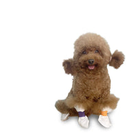 HKM-039315 Waterproof and Dirt-Proof Disposable Shoe Covers for Medium and Small Dogs, Non-Woven Fabric, 8/20 Pieces