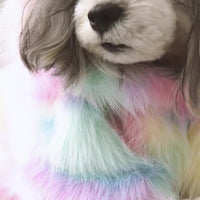 HKM-040339 Rainbow Pet Jacket - Casual Polyester Vest for Dogs with Size Options