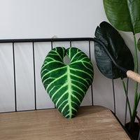 HKM-040595 Viridiplantae Cactus Decorative Pillow - Plant and Flower Patterns, Double-Sided Design, Various Sizes