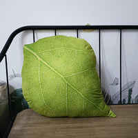 HKM-040595 Viridiplantae Cactus Decorative Pillow - Plant and Flower Patterns, Double-Sided Design, Various Sizes