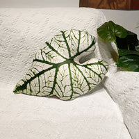 HKM-040595 Viridiplantae Cactus Decorative Pillow - Plant and Flower Patterns, Double-Sided Design, Various Sizes