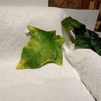 HKM-040595 Viridiplantae Cactus Decorative Pillow - Plant and Flower Patterns, Double-Sided Design, Various Sizes