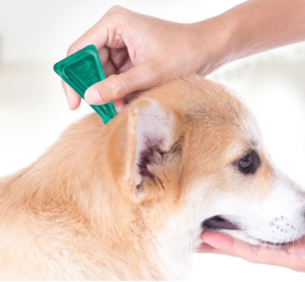 HKM-041299 Abamectin Transdermal Solution 0.5% for Dog Parasite Treatment, Suitable for Small to Large Dogs