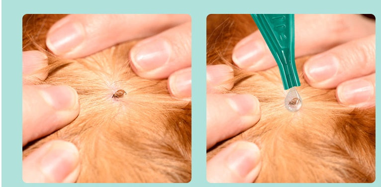 HKM-041299 Abamectin Transdermal Solution 0.5% for Dog Parasite Treatment, Suitable for Small to Large Dogs