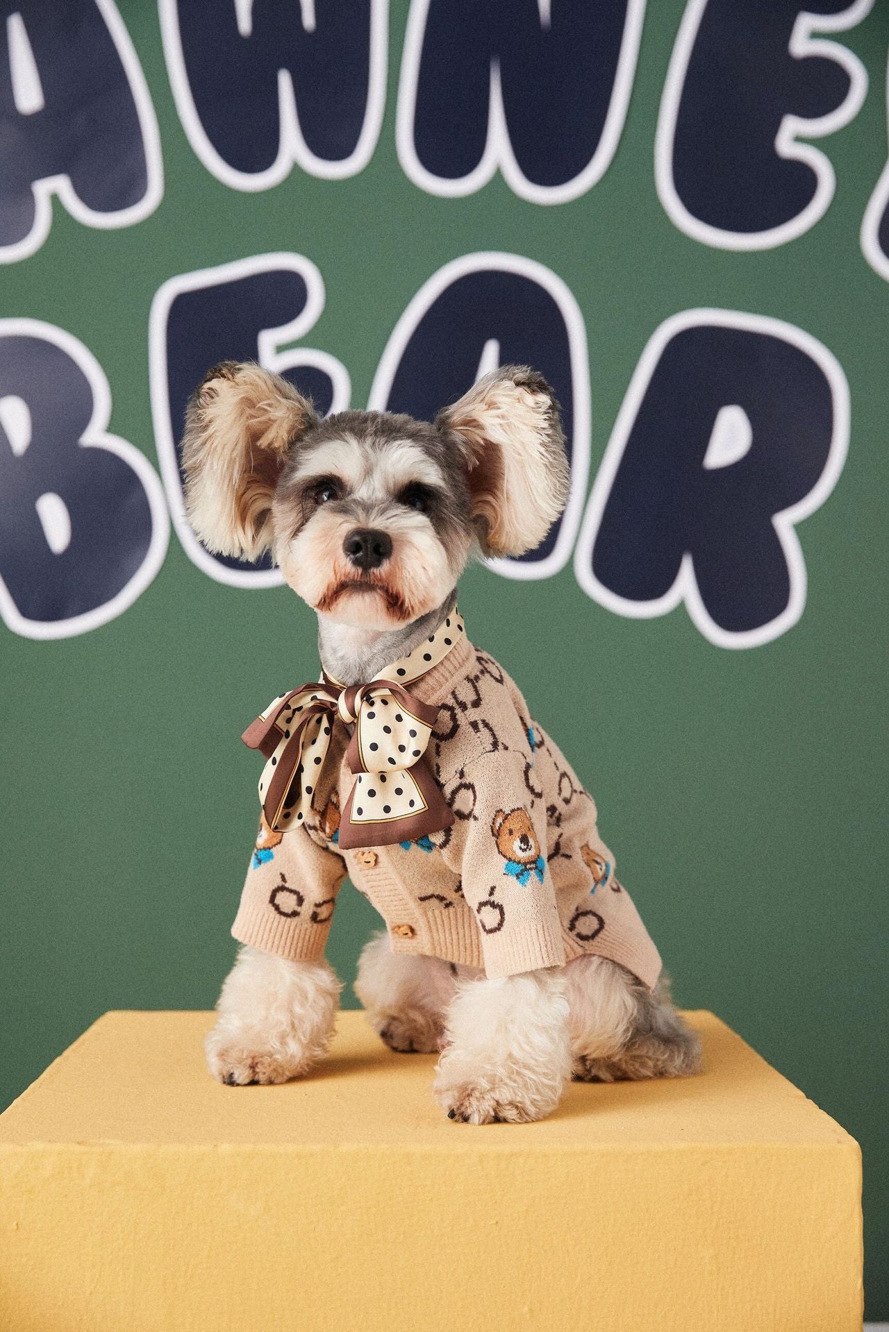 HKM-041875 Cozy Wool Sweater Cardigan for Pets - Casual Teddy Schnauzer Pomeranian Style