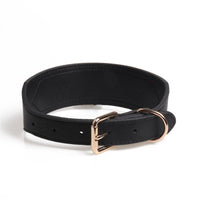 HKM-043475 Fashion Simple Medium And Large Pet Dog Collar